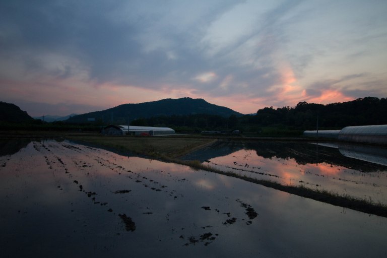 greenhouse-sunset-1-1-of-1