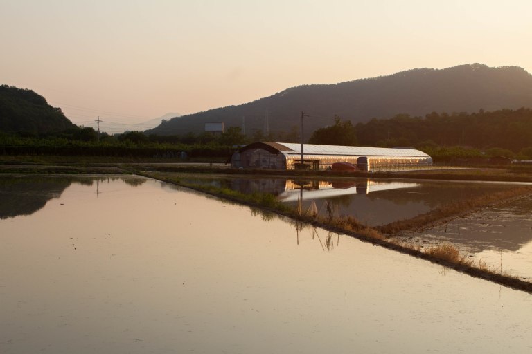 greenhouse-sunset-1-of-1