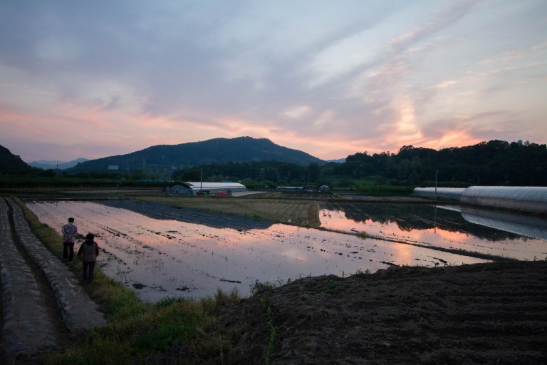 greenhouse-sunset-couple-walking-1-of-1